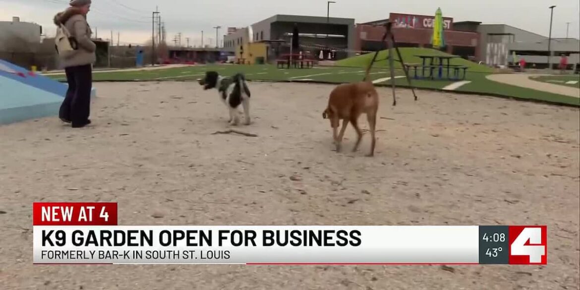K9 Garden dog park and bar opens in former Bar-K location