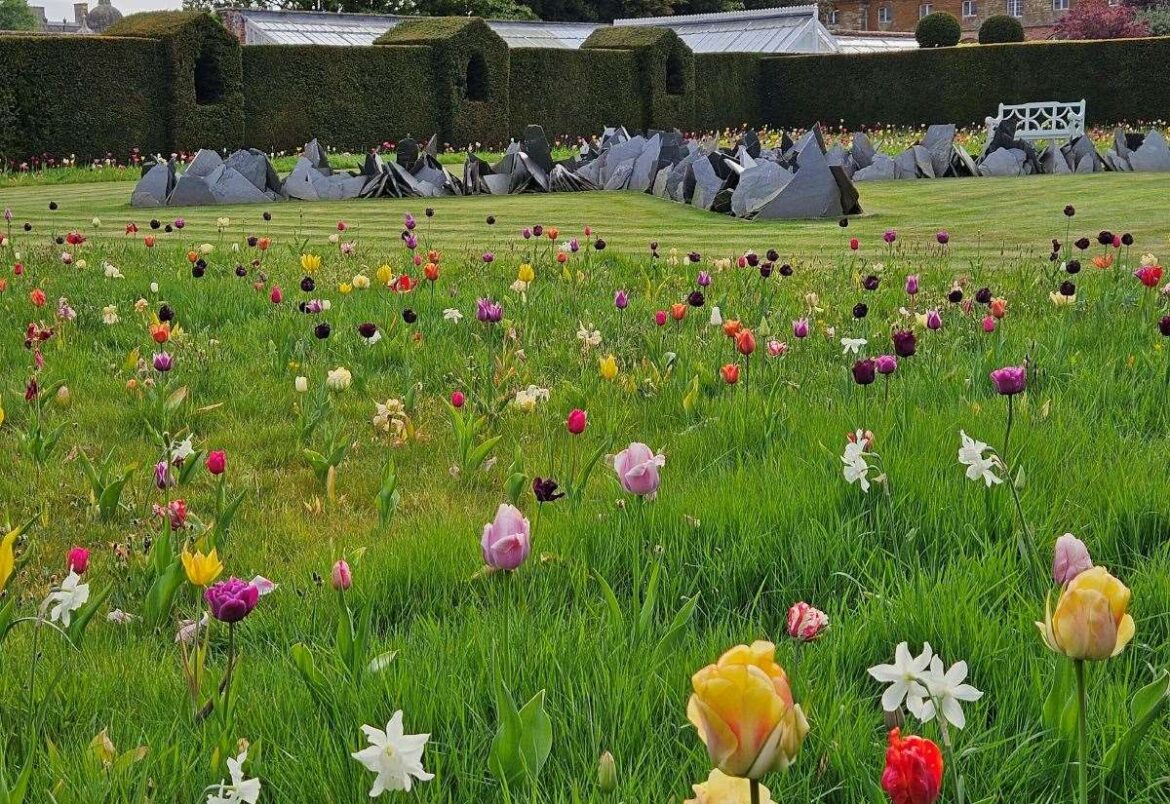 Houghton Hall’s gardens set to be transformed with thousands of tulips in time for spring