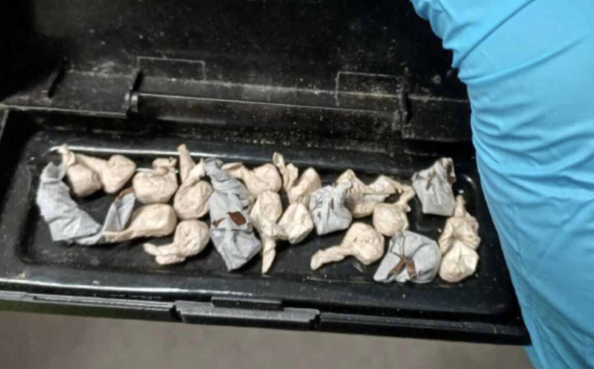 Box full of cocaine and heroin found in Nottingham garden