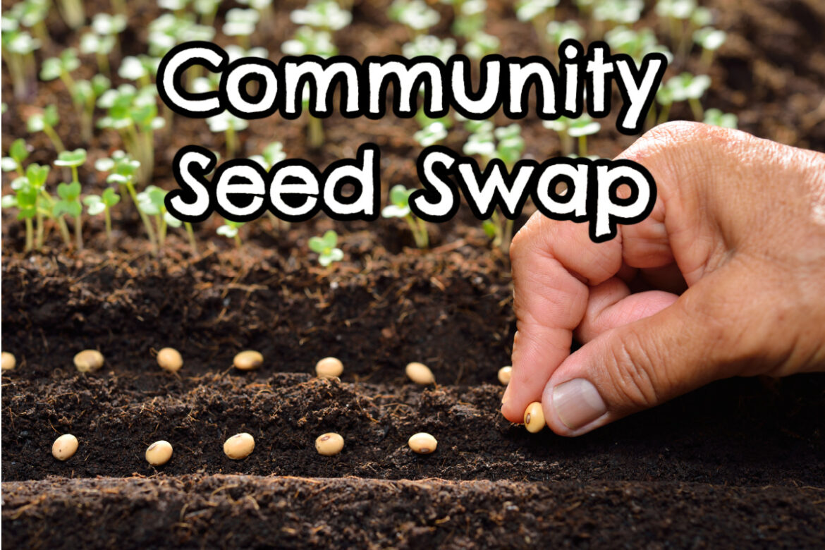 SeedSwap Boulder City Nevada