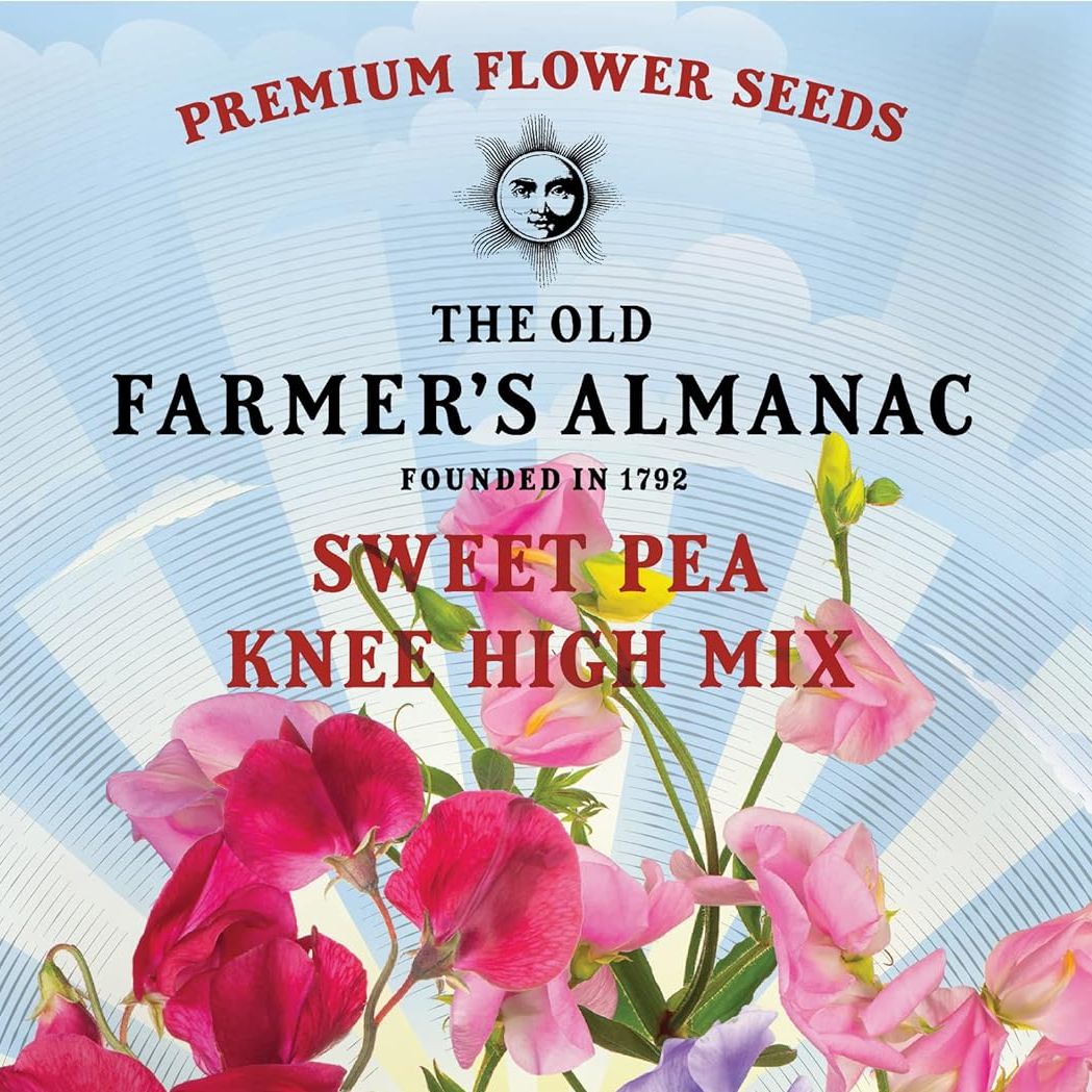 The Old Farmer's Almanac Sweet Pea Seeds (knee High Mix) - Approx 10 Flower Seeds - Premium Non-Gmo, Open Pollinated, Usa Origin