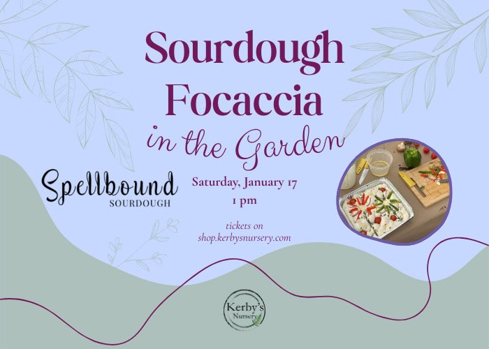 Sourdough Focaccia in the Garden at Kerby’s Nursery Sourdough Focaccia in the Garden at Kerby's Nursery