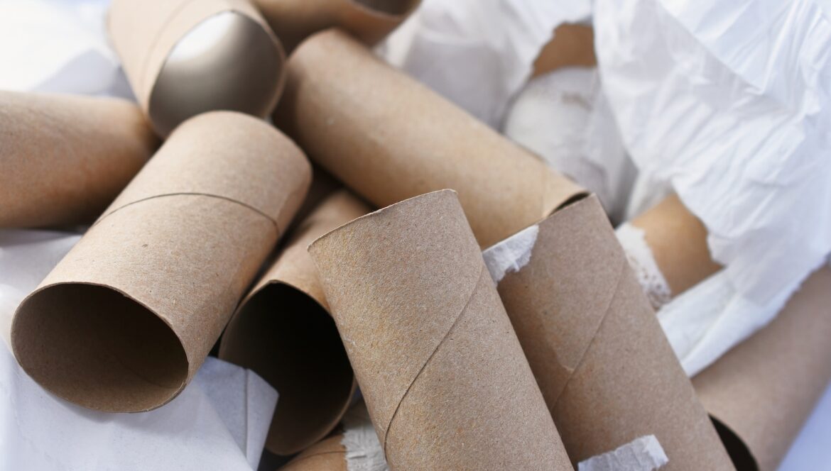 Woman shares brilliant hack using old toilet paper tubes: ‘Always perfect’ If you're looking for a way to upcycle household waste and you're a gardener who starts seedlings, you can use old toilet paper tubes.