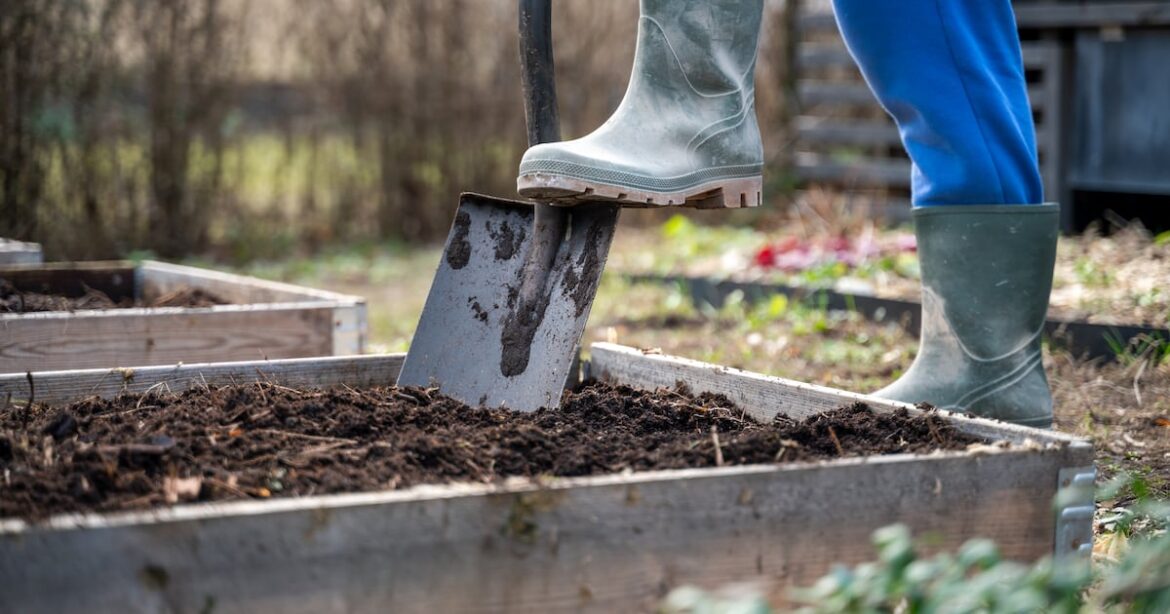 Is it too early to prep flower and vegetable beds, or should I wait for spring? – The Irish Times