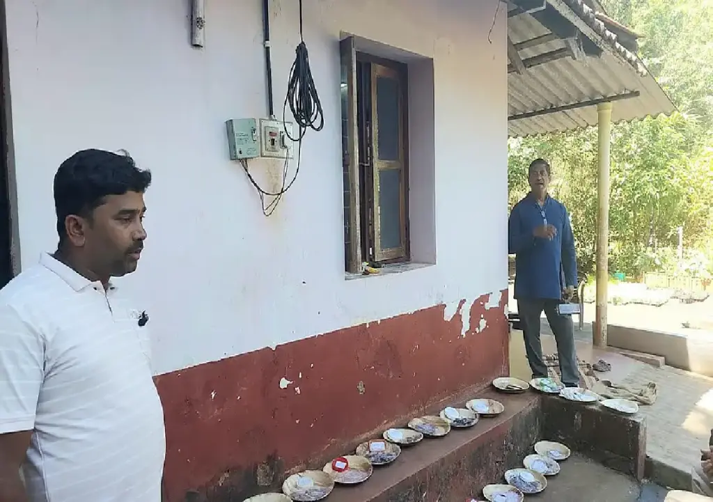 YouTube channel inspires thousands to take up organic kitchen gardening