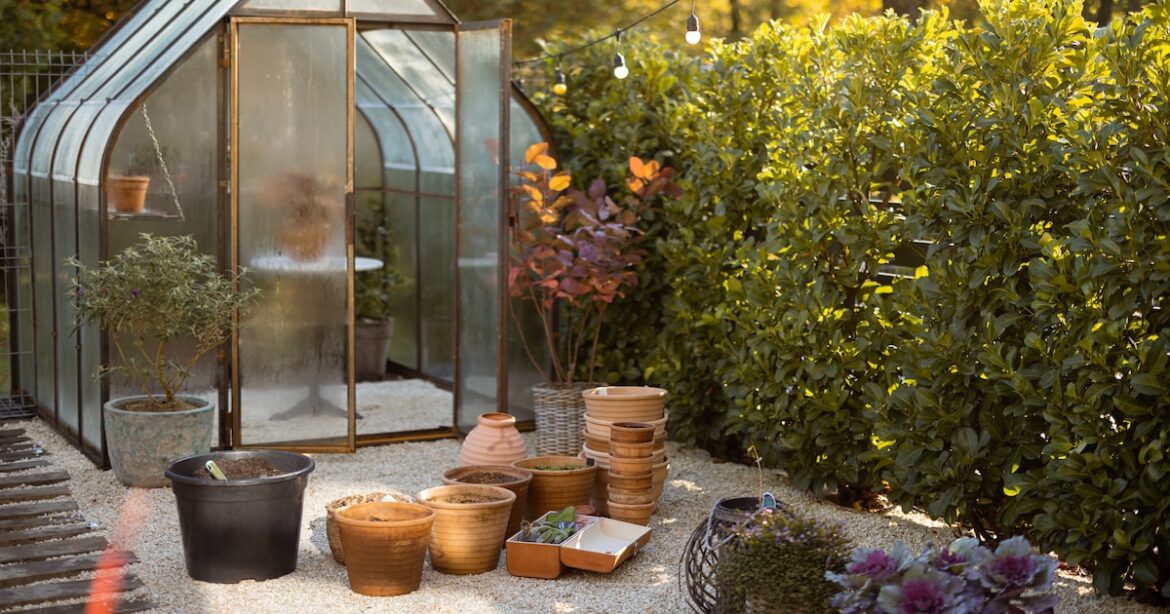 The beginner’s guide to greenhouses in North Texas