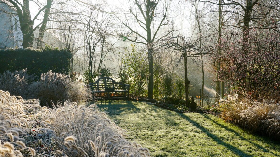 This is the Date of the Last Frost in Every US Region A garden on a frosty winter morning, with grasses glistening with frost and a frosted lawn