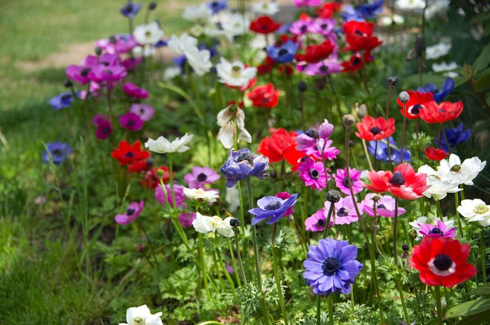 Wirestock / Getty Images