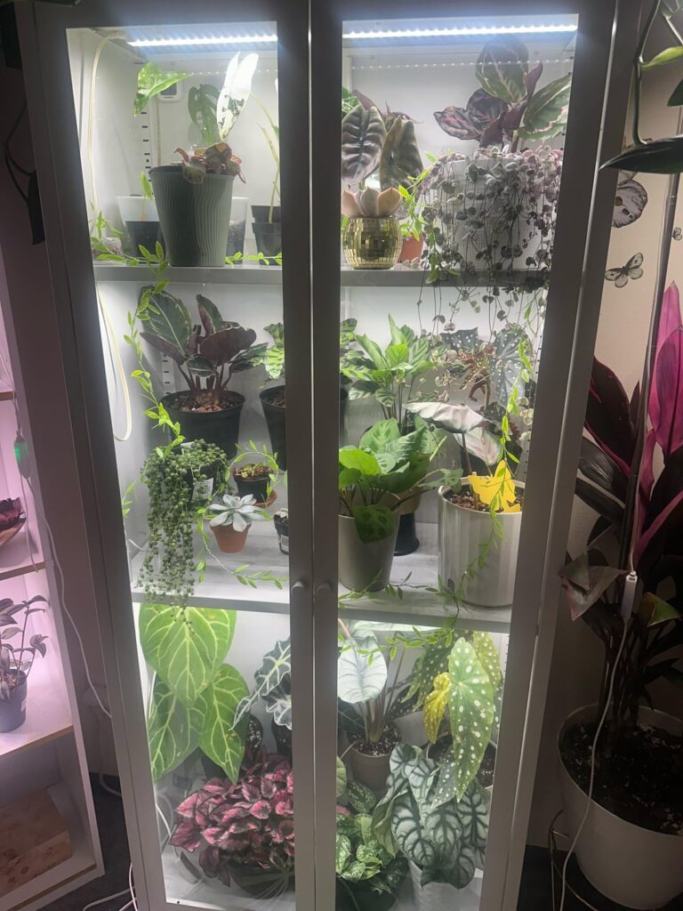 Too much humidity?
