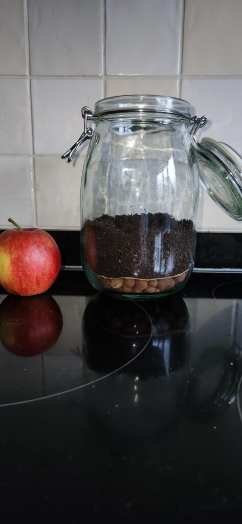 Low cost just dirt terrarium