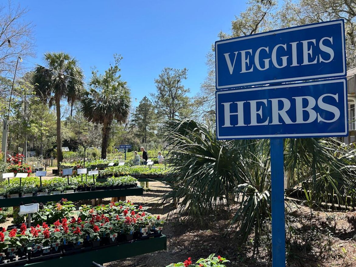 Dreaming of spring blooms? Here's how to start a garden journal