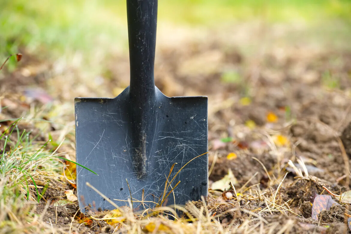 These natural ingredients can help support healthier soil and better growth in the garden this spring Yahoo lifestyle home