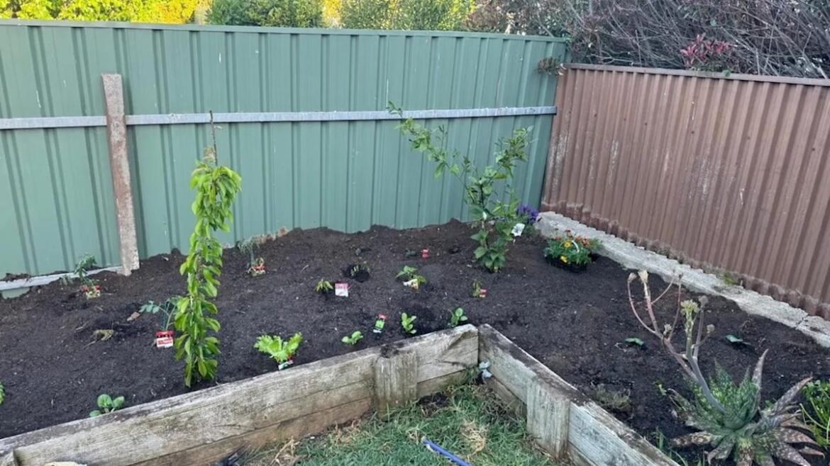 New gardener shows off amazing before-and-after photos of backyard patch: 'Mind blown'