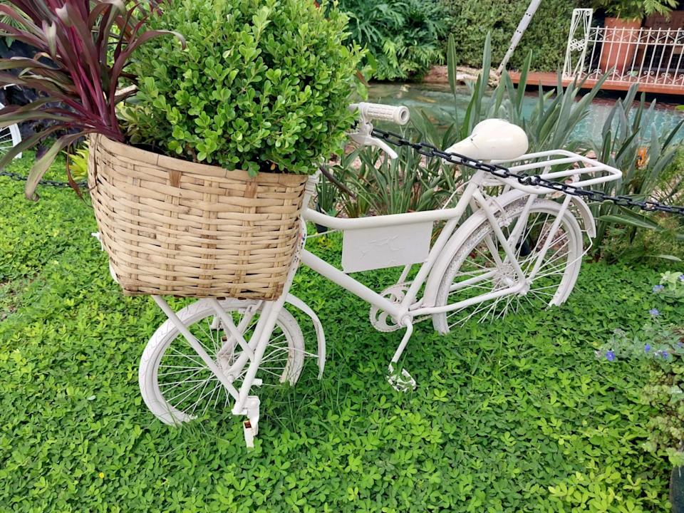 Even the most unlikely containers can be used as pots