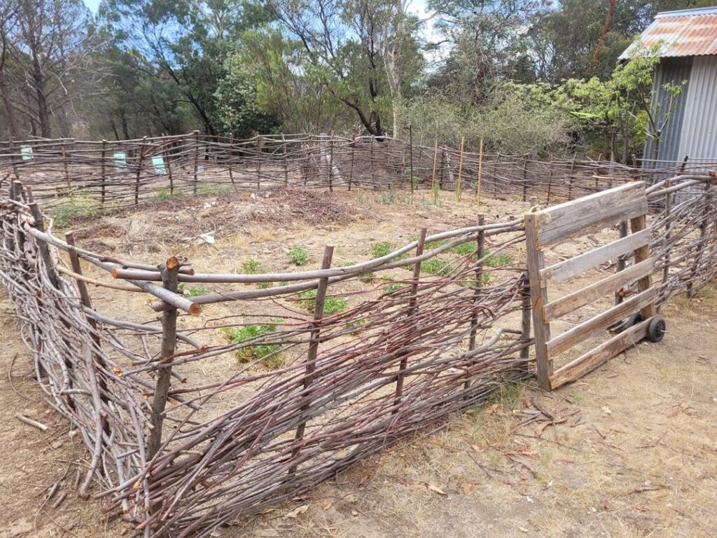 Doesn't need to be perfect, just Wallaby-proof