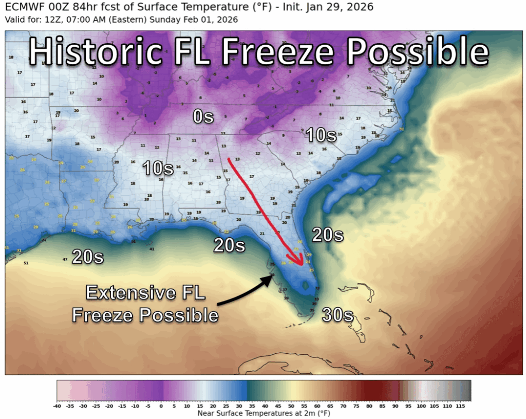How do the tropical plants in Southern Florida survive rare freezing events like this? I read that tropical plants can't even survive a single day of freeze. (Image credit: Ag Weather)