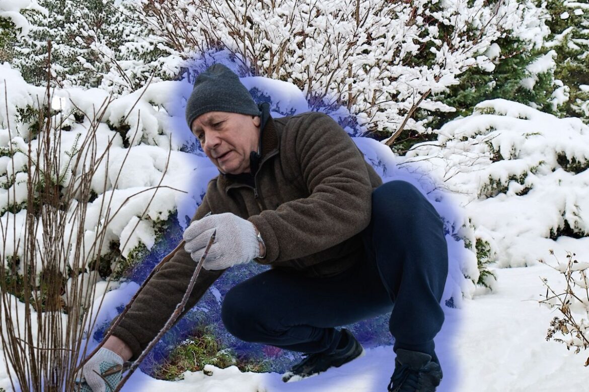 Pruning in January Sets Michigan Gardens Up for Success