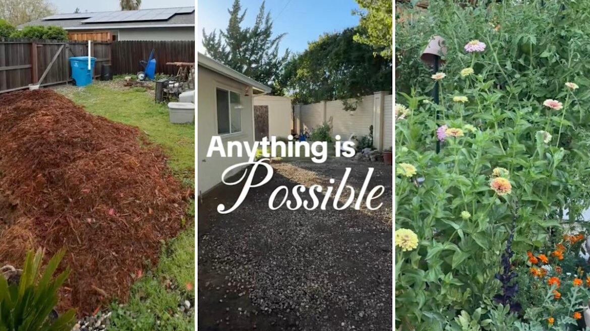 Homeowner shares stunning before-and-after footage of garden transformation: 'So dreamy'
