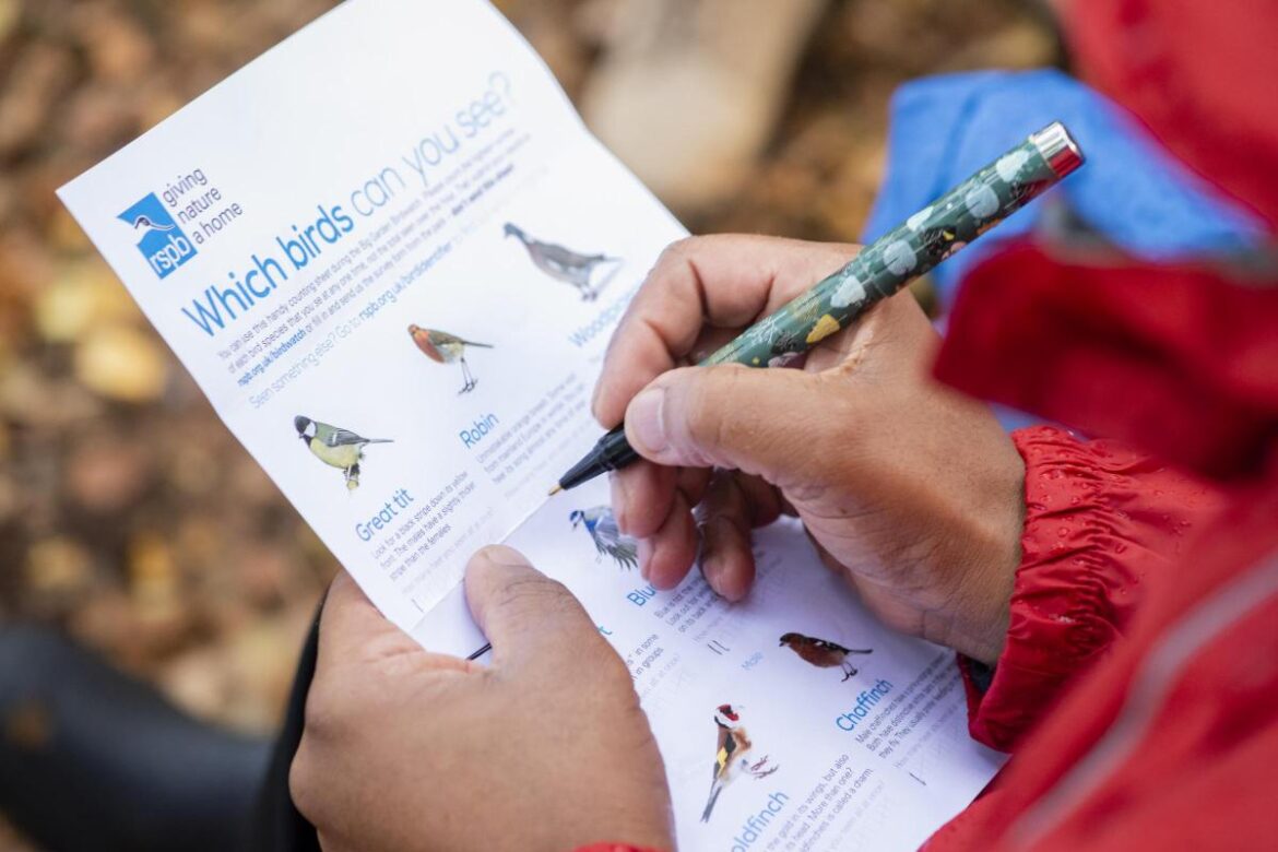 World’s largest survey of garden birds to take place this month World's largest survey of garden birds to take place this month