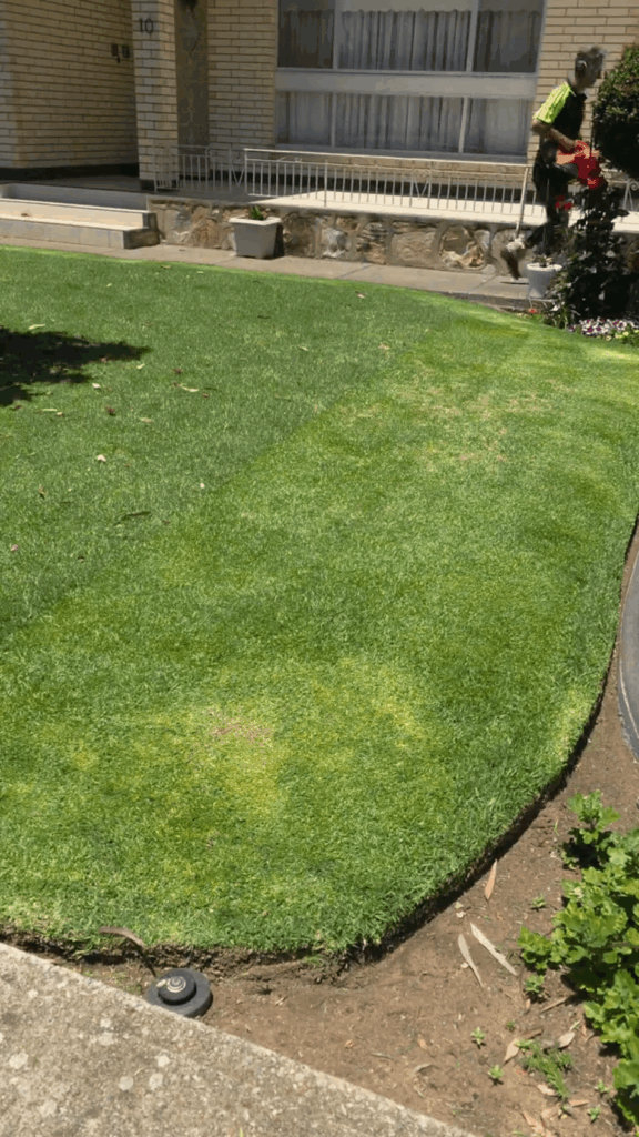 from right to left with that green finish