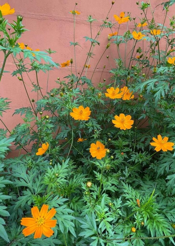 They look like paintings. Beautiful.
