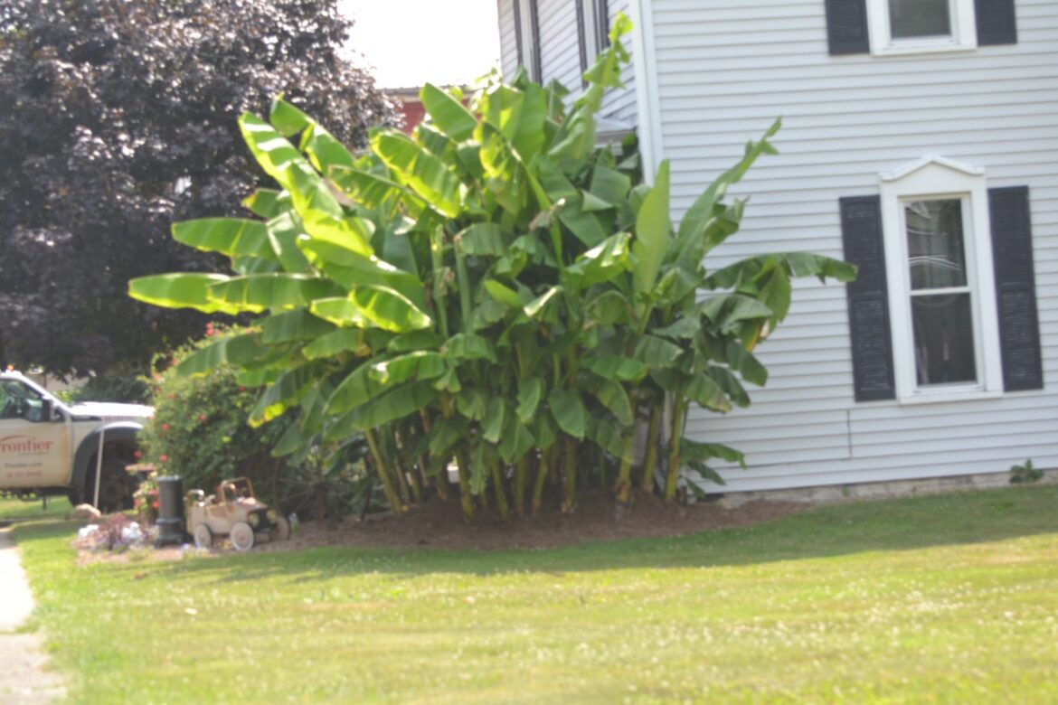 Landscaping ideas for adventurous people Landscaping ideas for adventurous people