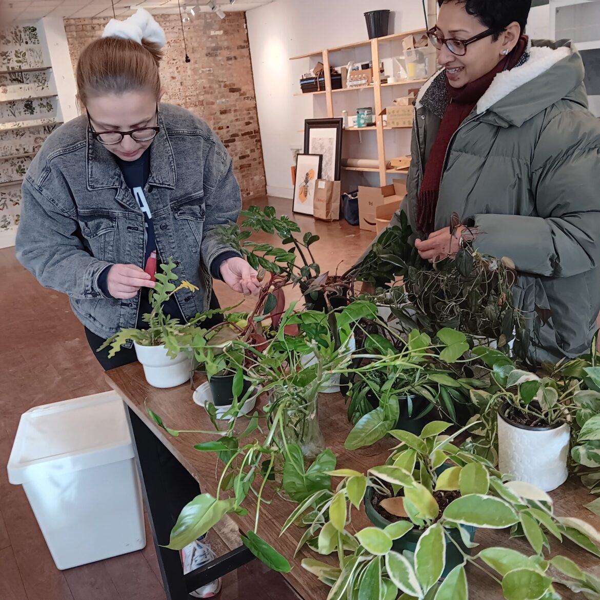 9th Square Indoor Plant Shop Closes