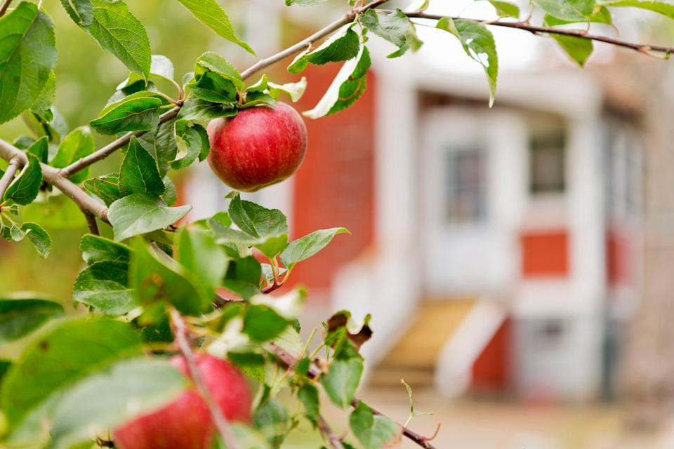 Johner Images / Getty Images