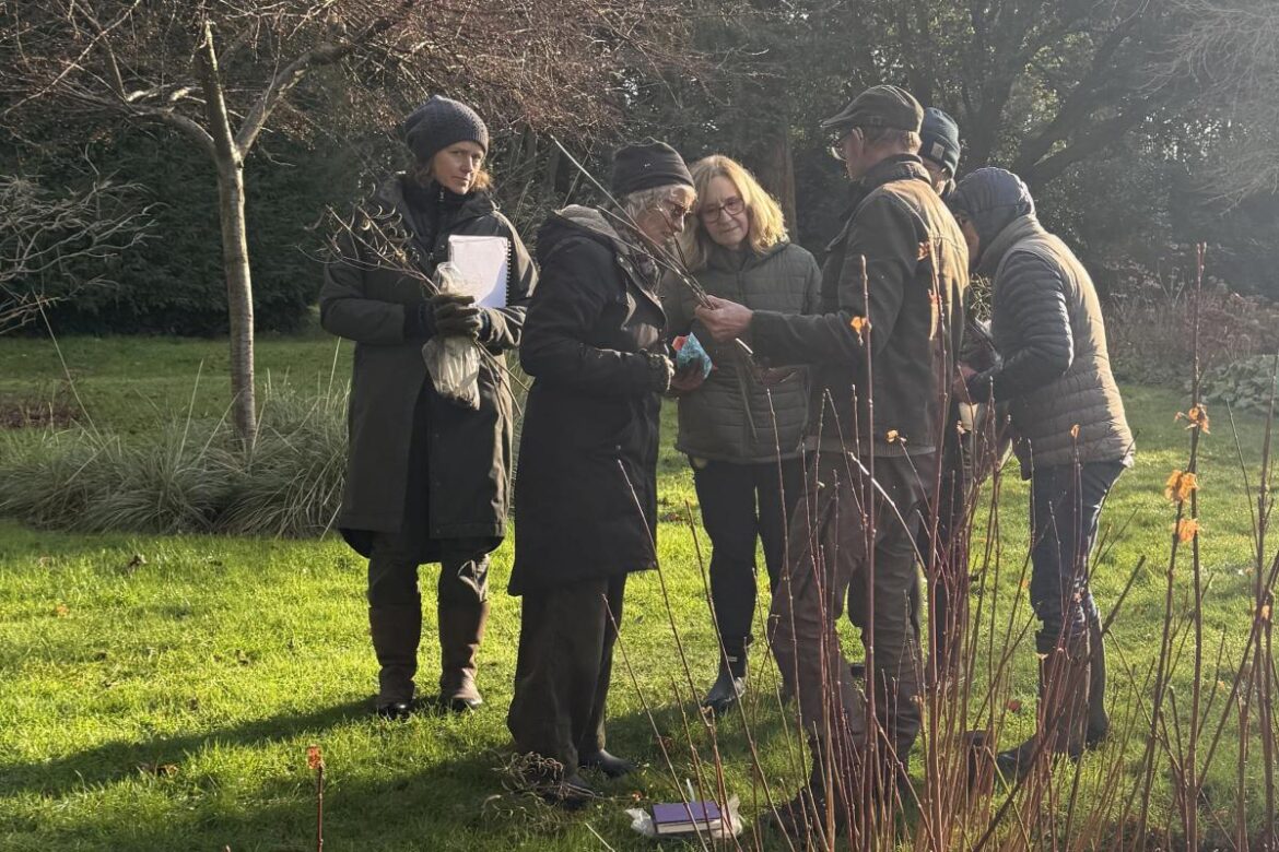 Busy week at gardening school - here are the plans afoot for spring