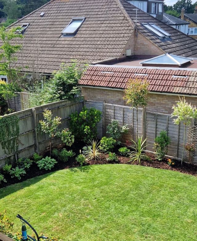 One gardener shared their experience transforming an overgrown backyard into a lovely lawn and native plant garden.