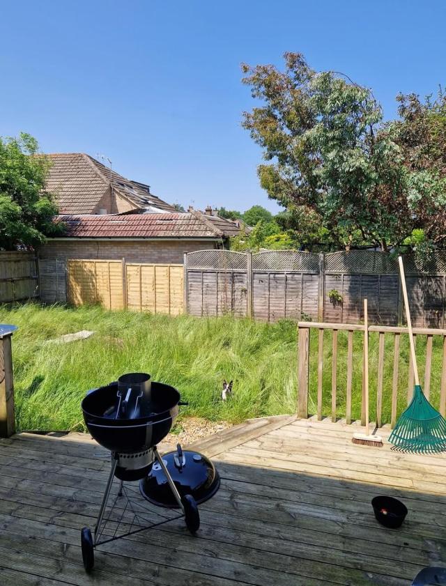 One gardener shared their experience transforming an overgrown backyard into a lovely lawn and native plant garden.