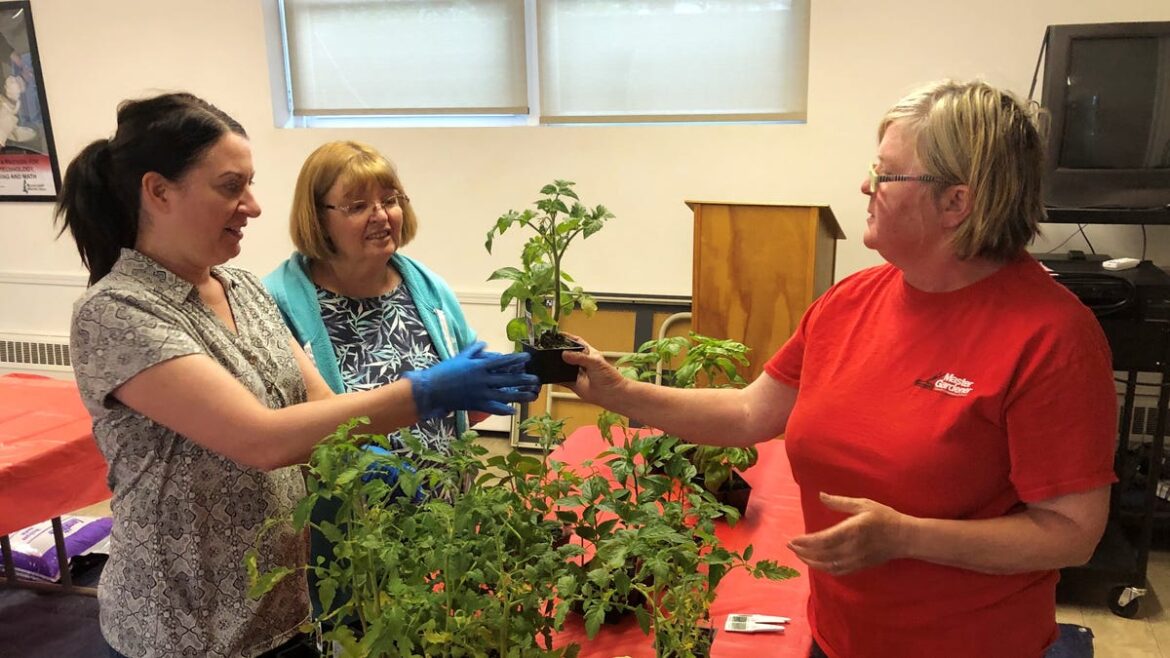 Ontario County master gardener series is set to begin