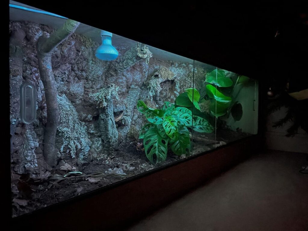 Started my custom Vivarium business last month, a couple builds I’ve done 🙂 all handmade www.edenhabitats.co.uk