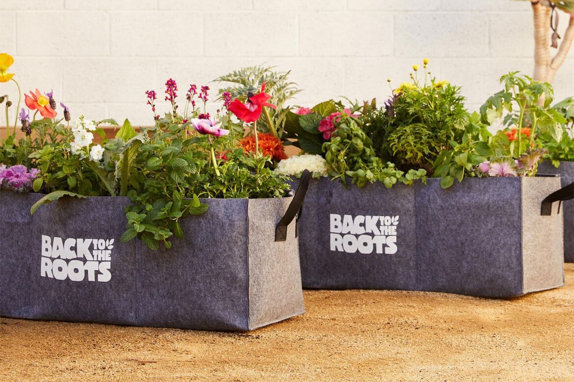 Amazon’s Outlet Reduced Prices on Patio and Garden Finds Amazon's Outlet Reduced Prices on Patio and Garden Finds