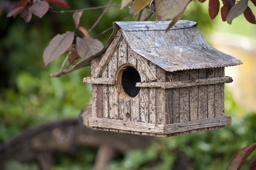bird nest box
