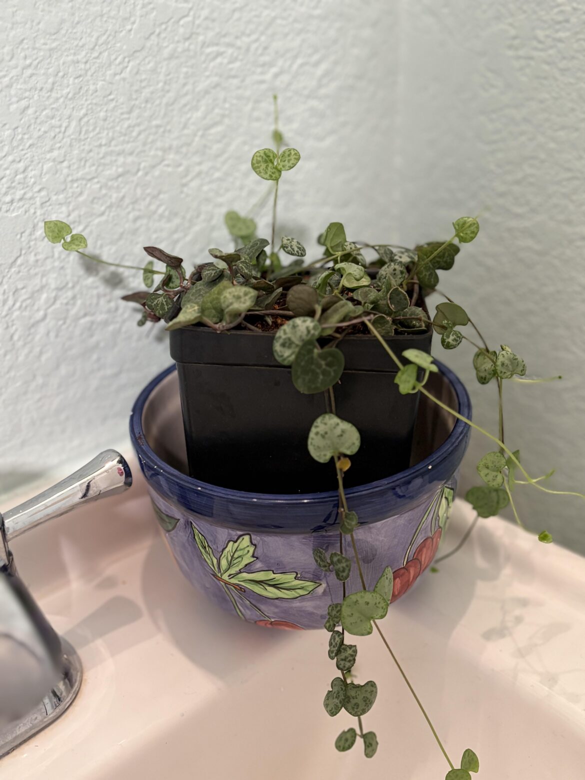After 6 months of trial and error, I finally found a spot that she is happy to be at!