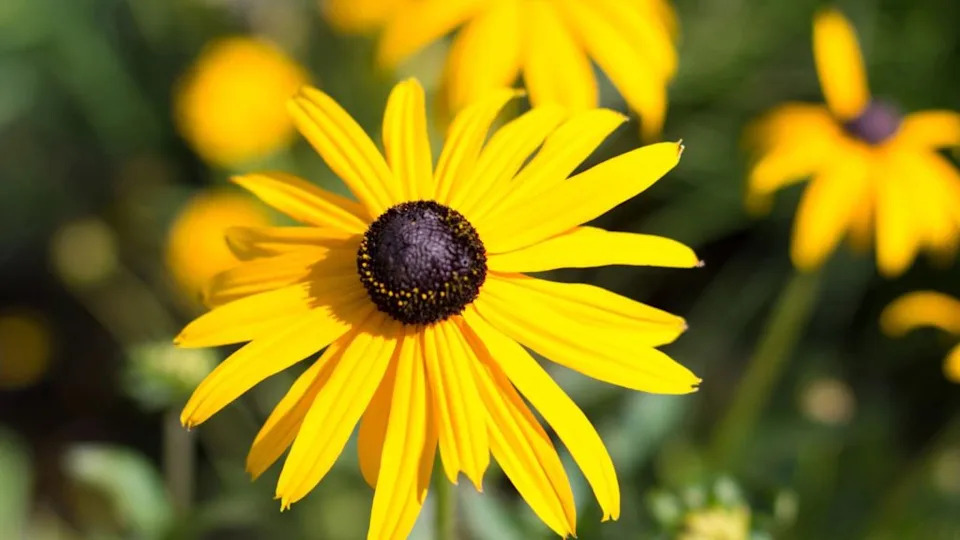 Image Credit: Deposit Photos