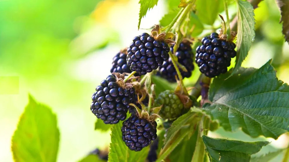 Image Credit: Deposit Photos