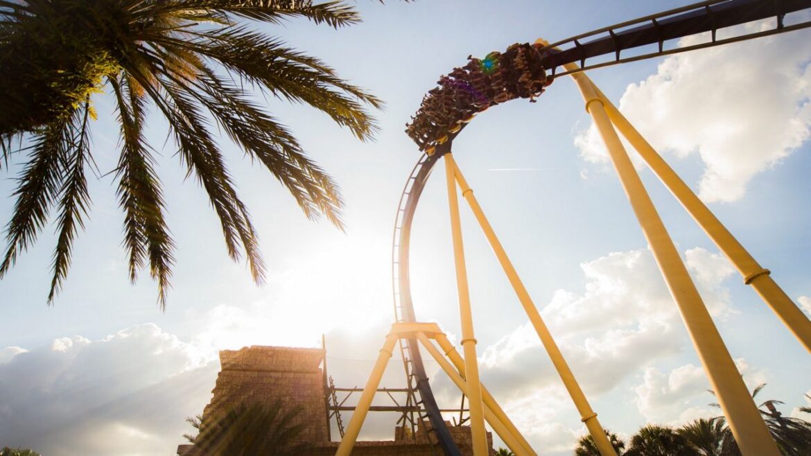 Montu roller coaster at Busch Gardens Tampa Bay. (Photo courtesy: Busch Gardens)