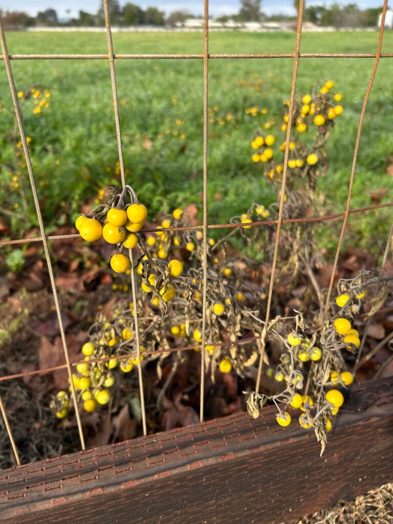 Located in Inland empire valleys, Southern California