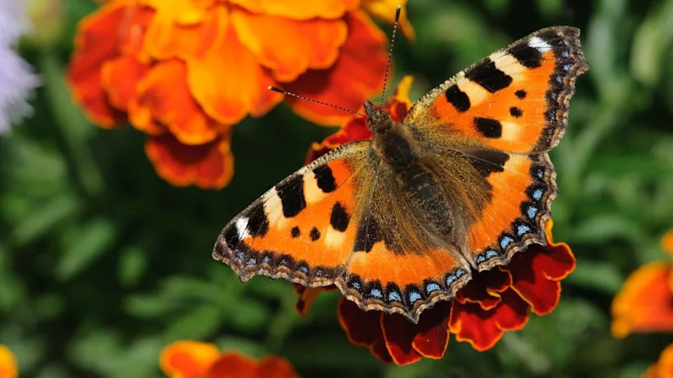 Image Credit: Deposit Photos