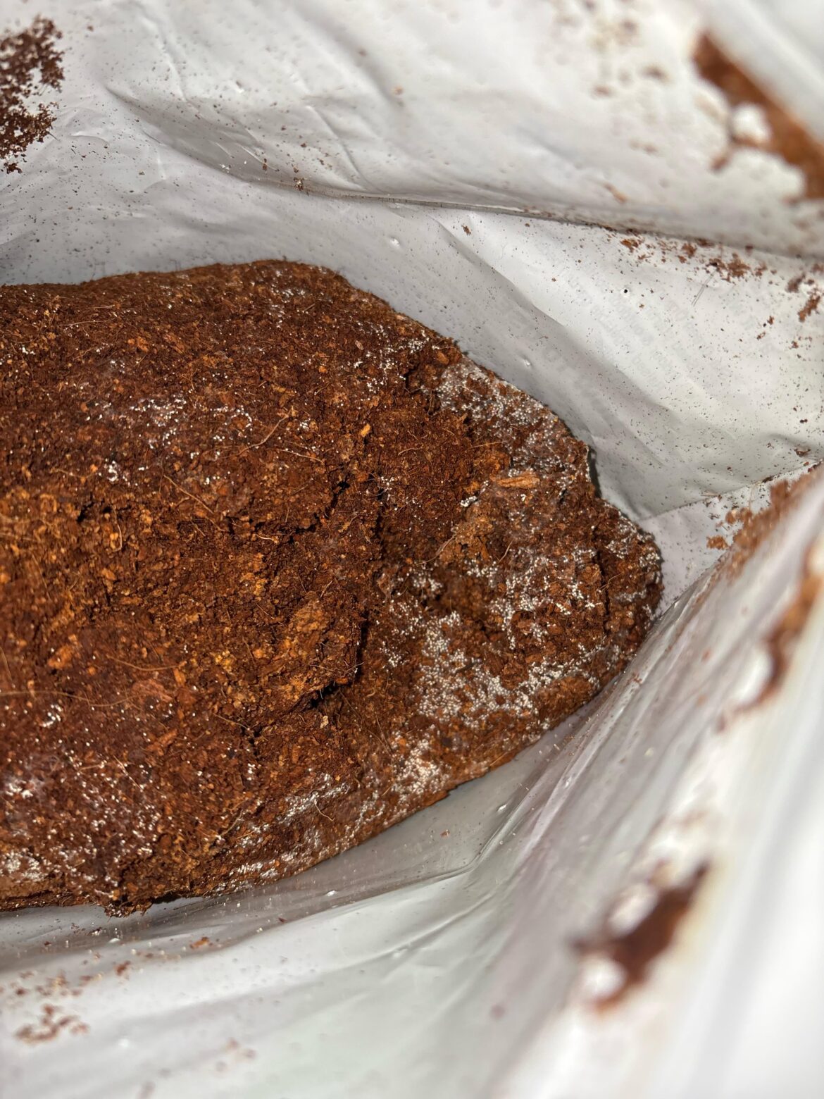 Is this coconut coir ok to use?