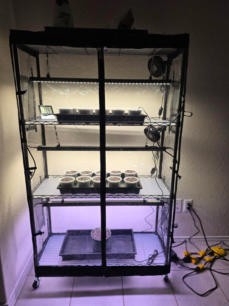 Seedling Germination/Growth Temps?? Seedling Germination/Growth Temps??