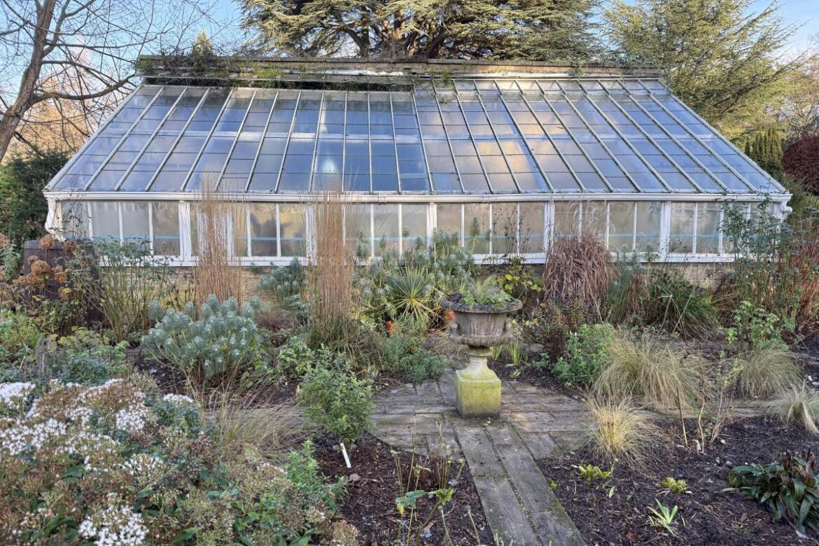 The new year guide to gardening… what you should be doing THIS month Eastern Daily Press