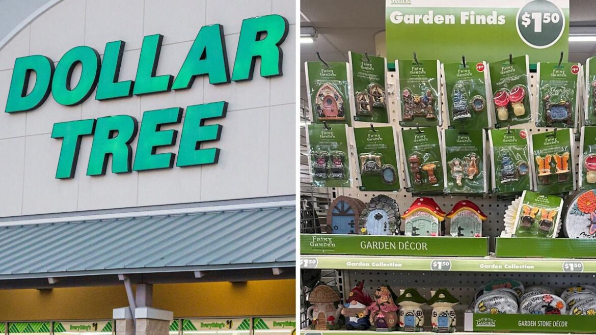 Dollar Tree Fairy Garden—Check Out The Gnomes, Houses and More Decor Dollar Tree Fairy Garden—Check Out The Gnomes, Houses and More Decor