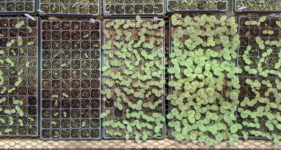 Composting research link