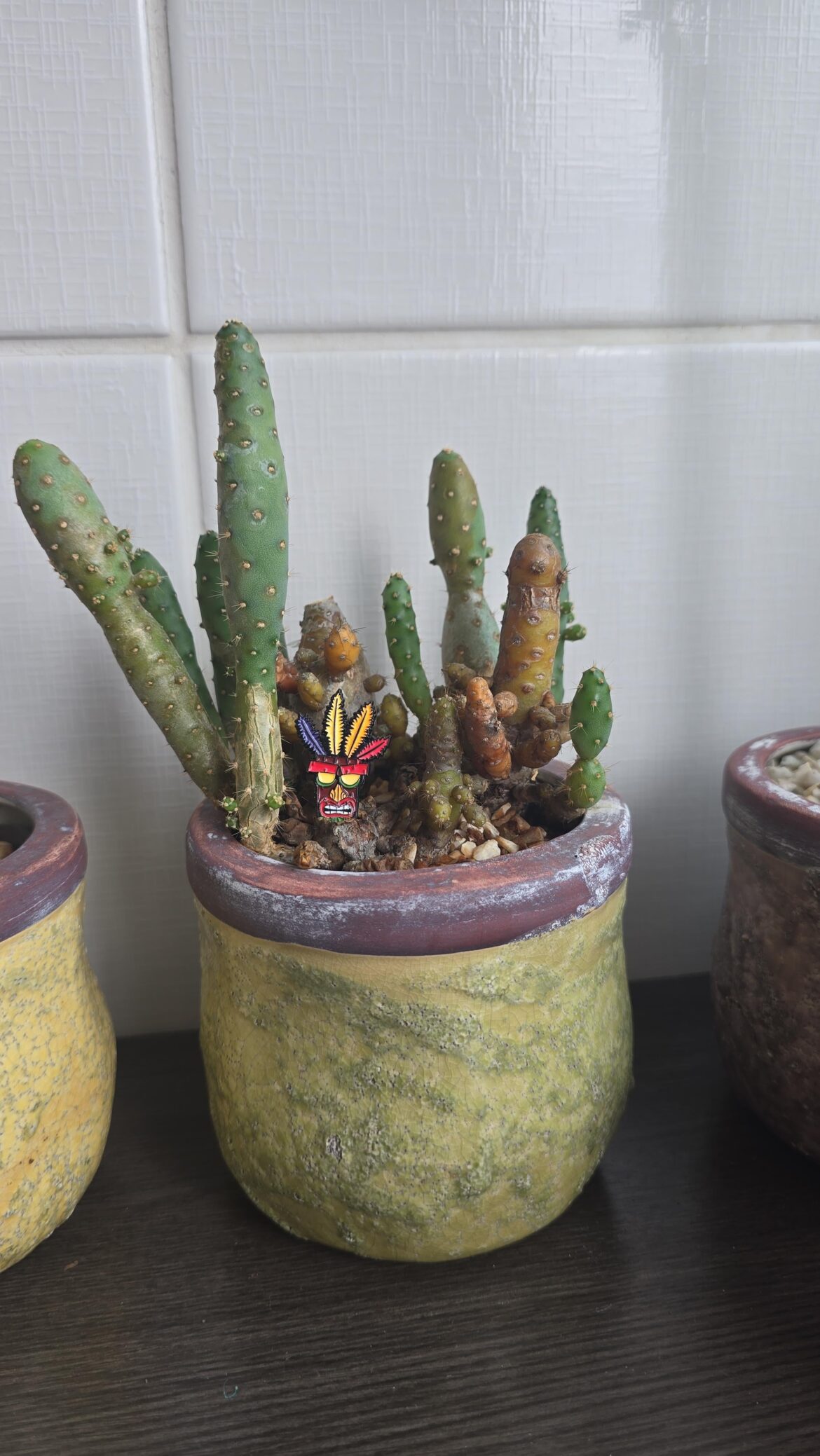 What species is this