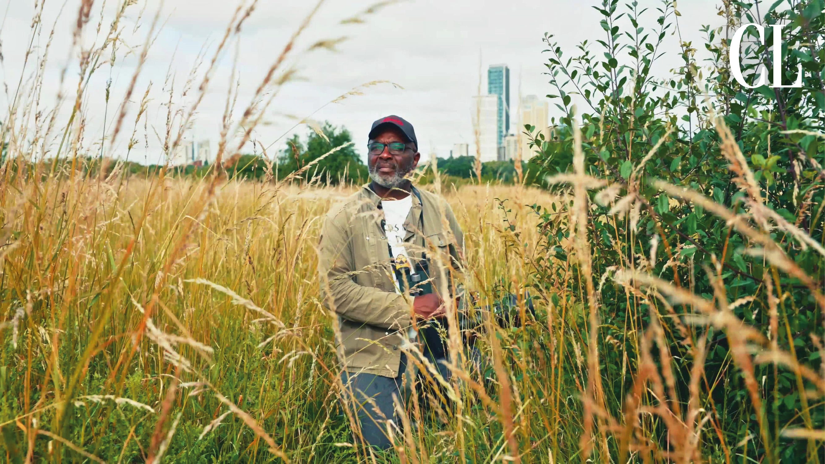a european robin with distinctive orange breast perched on a tree branch surrounded by winter foliage in a european forest setting.