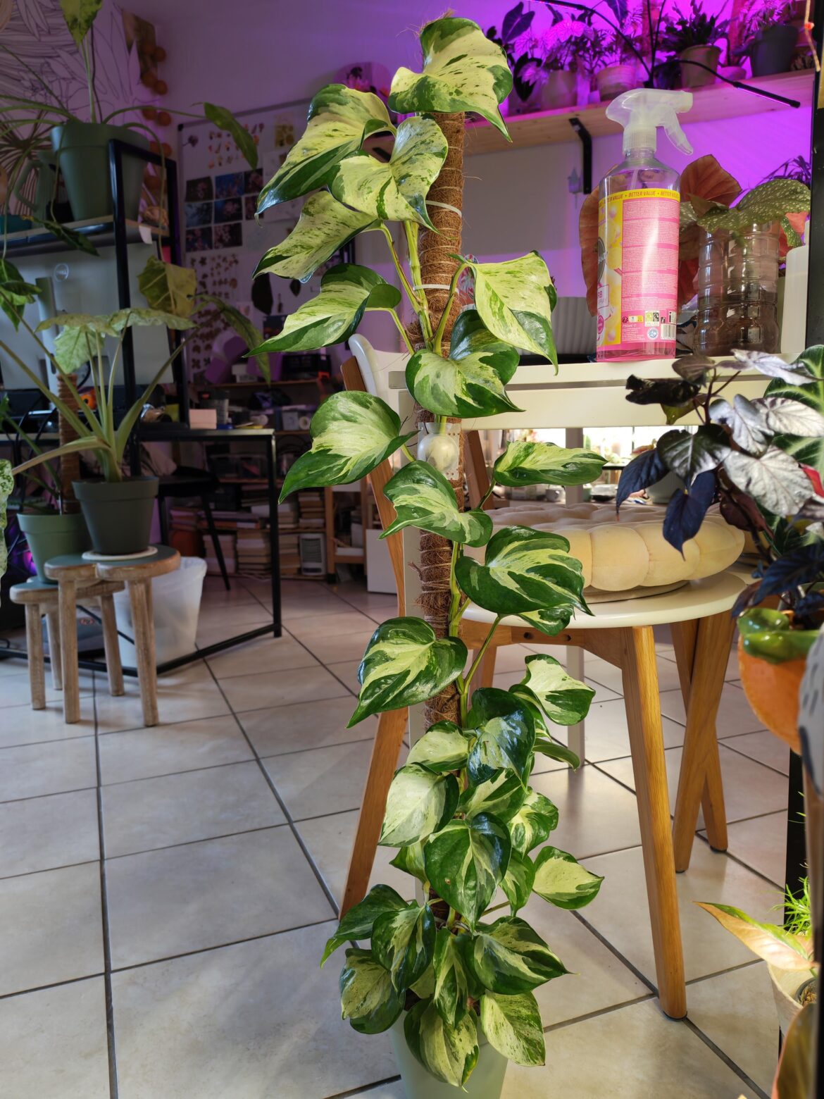 It's going to outgrow me in no time at that point 🫡