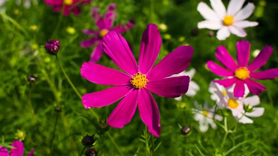 Image Credit: Deposit Photos